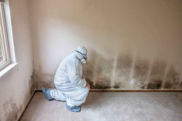 Best Biohazard Mold Removal  in Hueytown, AL