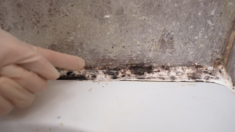 Best Mold Removal for HVAC Installations  in Hueytown, AL